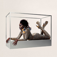 Rocky - Soft machines